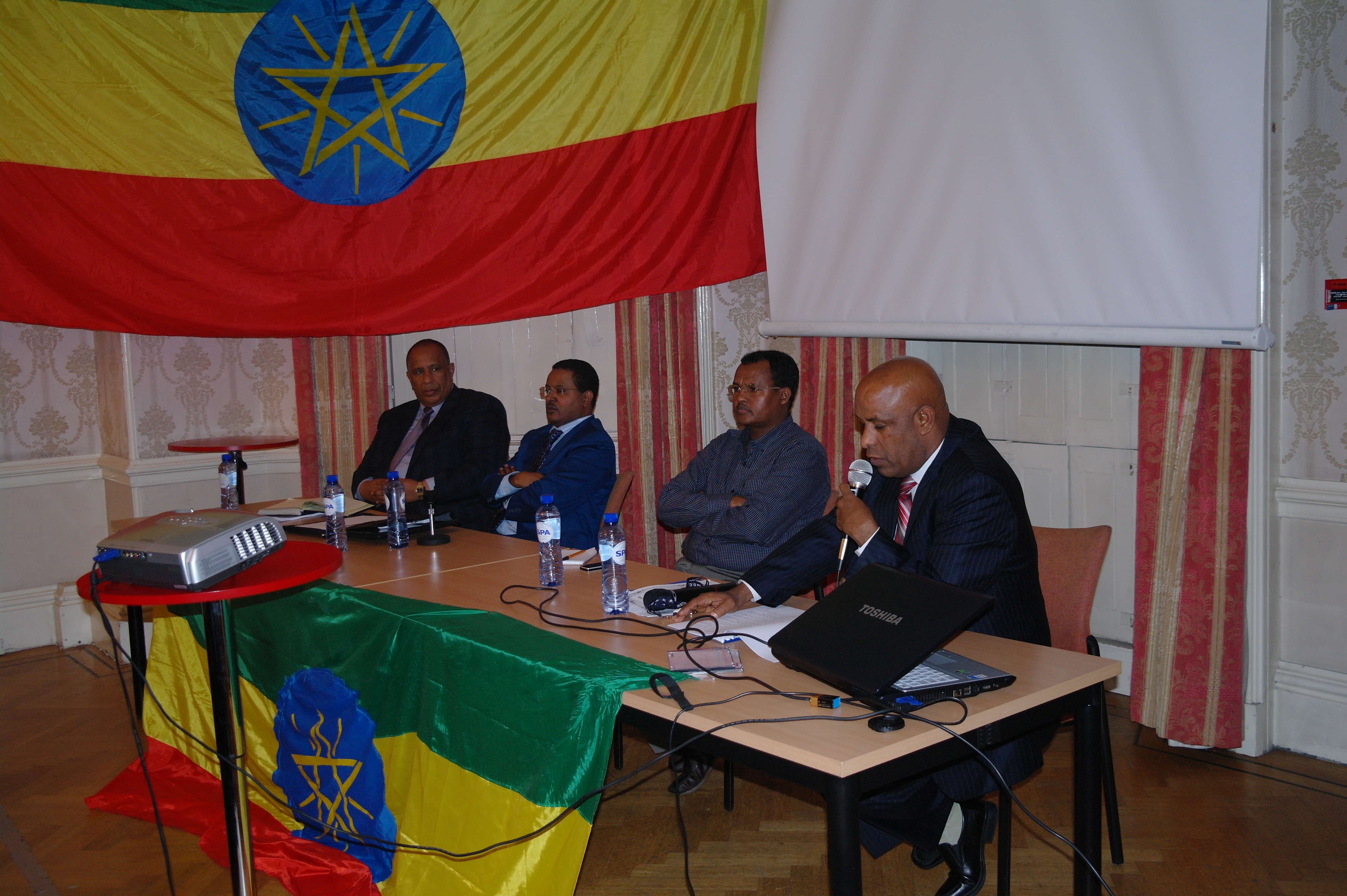 Pictures from Diaspora Policy Discussion